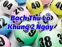 Bạch thủ lô nuôi khung 2 ngày