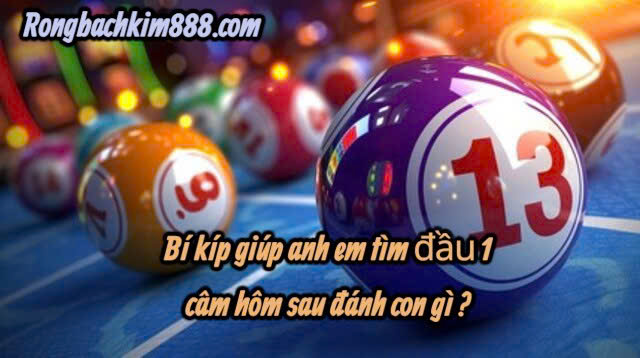 Bí kíp giúp anh em tìm đầu 1 câm hôm sau đánh con gì ?