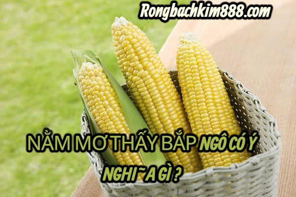 Nằm mơ thấy bắp ngô có ý nghĩa gì ?