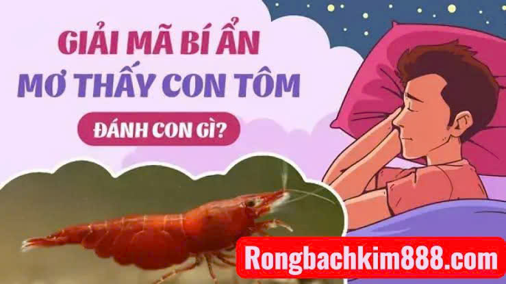 Nằm mơ thấy bắt được tôm hùm có ý nghĩa gì ? 