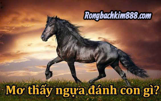 Nằm mơ thấy ngựa hoang đánh con gì ?