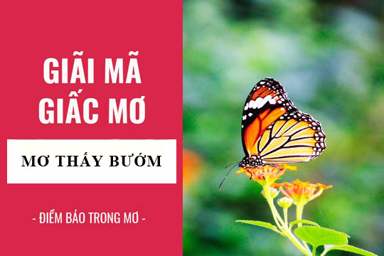 Mơ thấy con Bướm đánh con gì