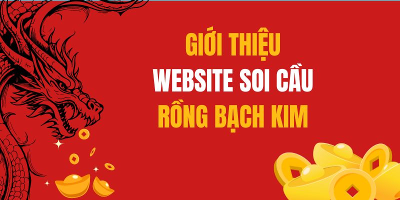 Soi cầu Rồng Bạch Kim vip